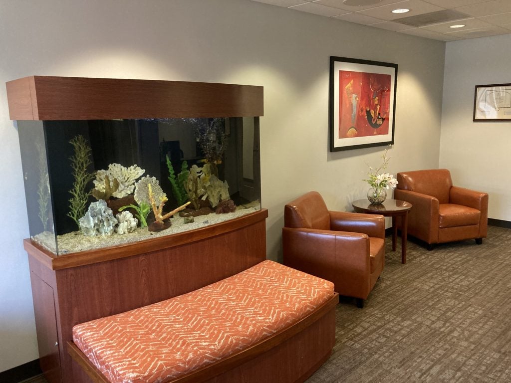 reception area - office photo